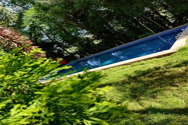 The Beehive Homestay exterior with lush greenery